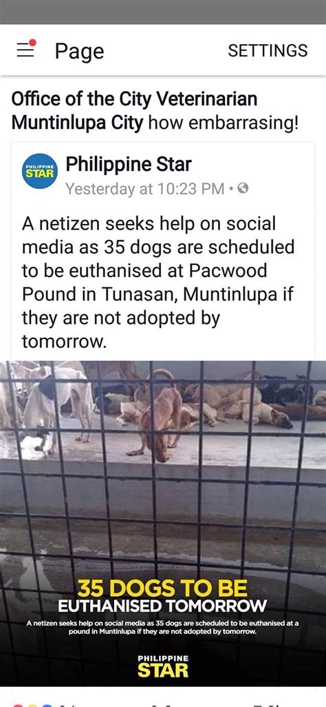 muntinlupa city veterinary office|Office of the City Veterinarian in Putatan,Muntinlupa .